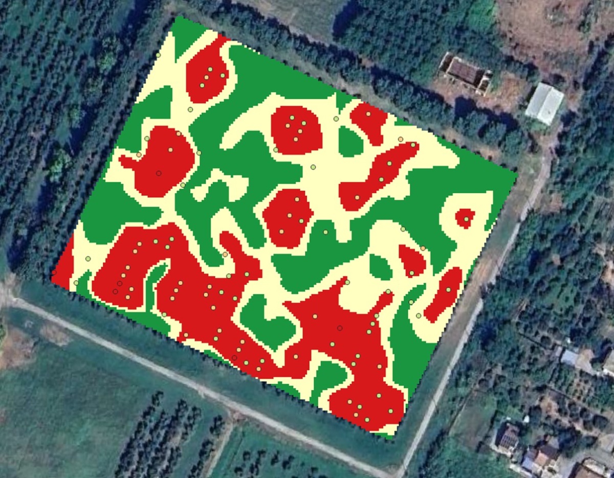Esempio di distribuzione della presenza di rogna nel 2021